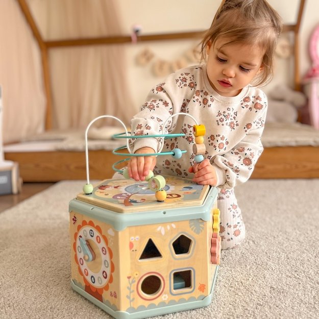 TOOKY TOY Interaktyvus medinis šešiakampis 