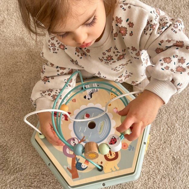 TOOKY TOY Interaktyvus medinis šešiakampis 
