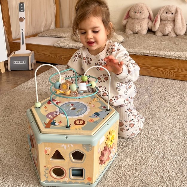 TOOKY TOY Interaktyvus medinis šešiakampis 