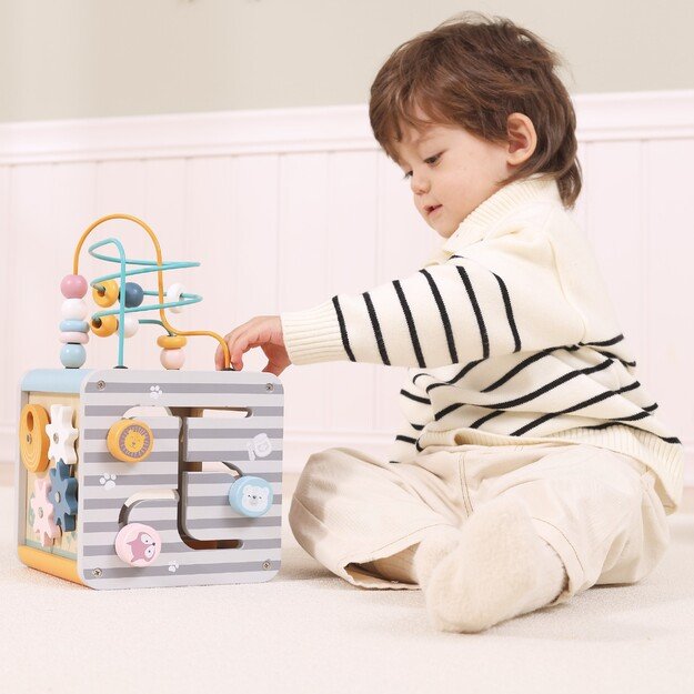 VIGA PolarB „Activity Box“ – medinis edukacinis žaidimų centras 5 viename (kūbelis) 3