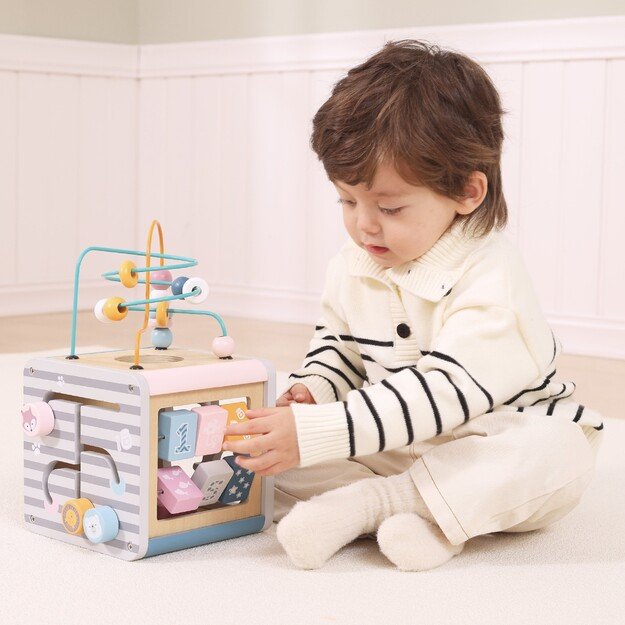 VIGA PolarB „Activity Box“ – medinis edukacinis žaidimų centras 5 viename (kūbelis) 6