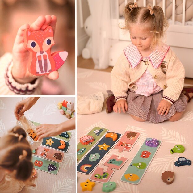 Lavinamasis atminties žaidimas dėlionė 5