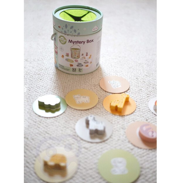 Daugiafunkcis žaidimas paslapčių dėžutė 11