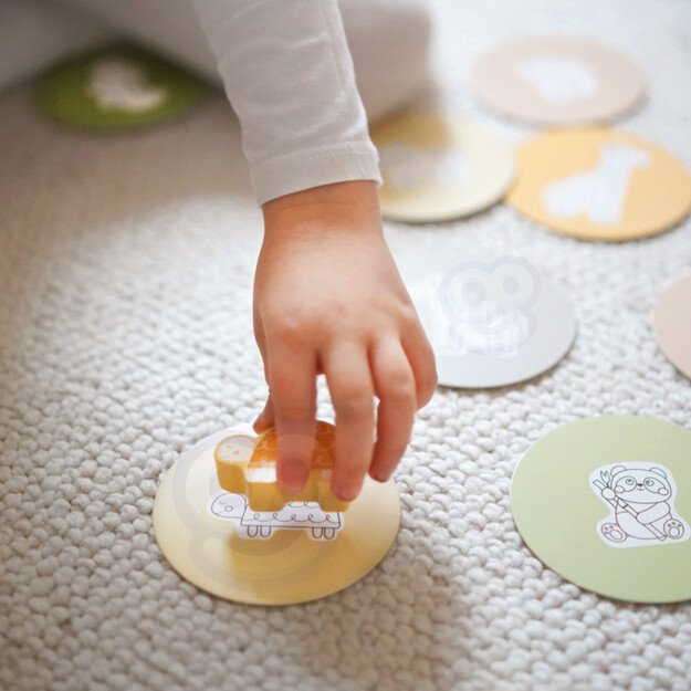 Daugiafunkcis žaidimas paslapčių dėžutė 1