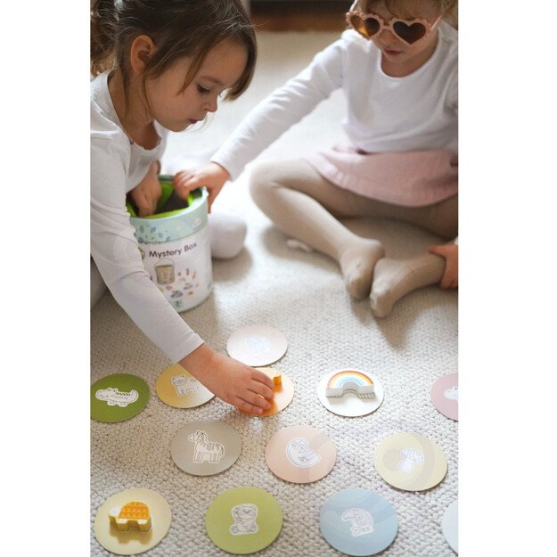 Daugiafunkcis žaidimas paslapčių dėžutė 8