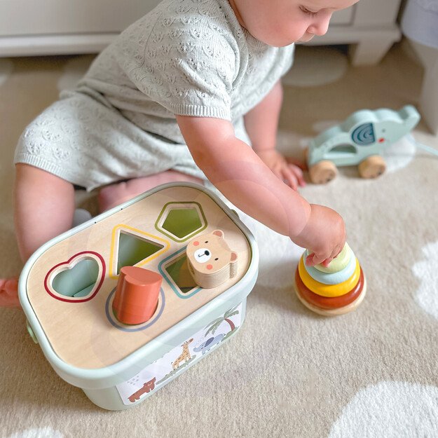 WOOPIE GREEN 3in1 rūšiavimo dėžutė „Sorter Box“ – kaladėlės, piramidė, drambliukas 1