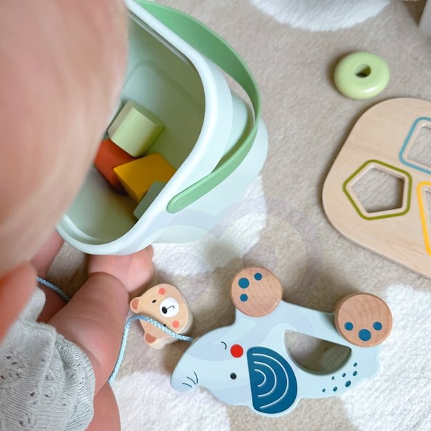 WOOPIE GREEN 3in1 rūšiavimo dėžutė „Sorter Box“ – kaladėlės, piramidė, drambliukas 3