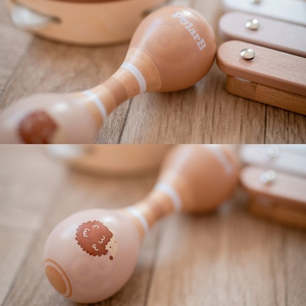 VIGA PolarB Medinių Muzikos Instrumentų Rinkinys su Paukšteliu