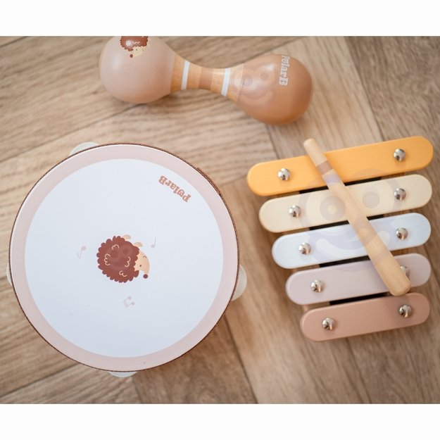 VIGA PolarB Medinių Muzikos Instrumentų Rinkinys su Paukšteliu