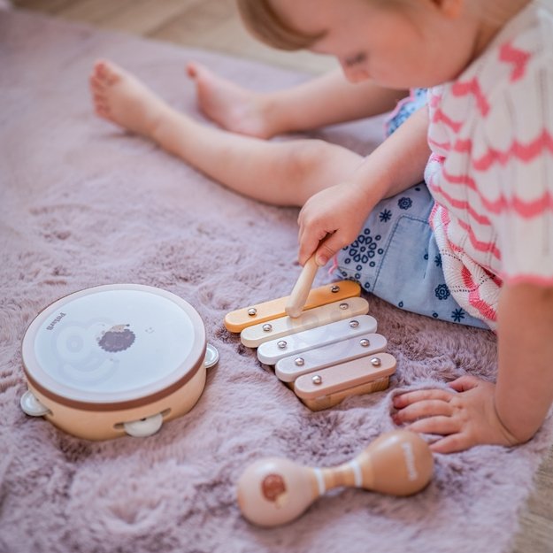 VIGA PolarB Medinių Muzikos Instrumentų Rinkinys su Paukšteliu