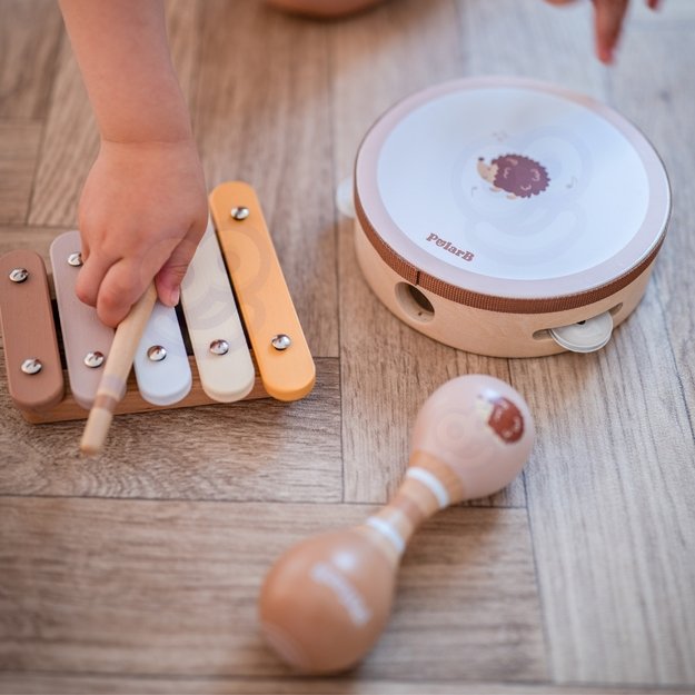 VIGA PolarB Medinių Muzikos Instrumentų Rinkinys su Paukšteliu