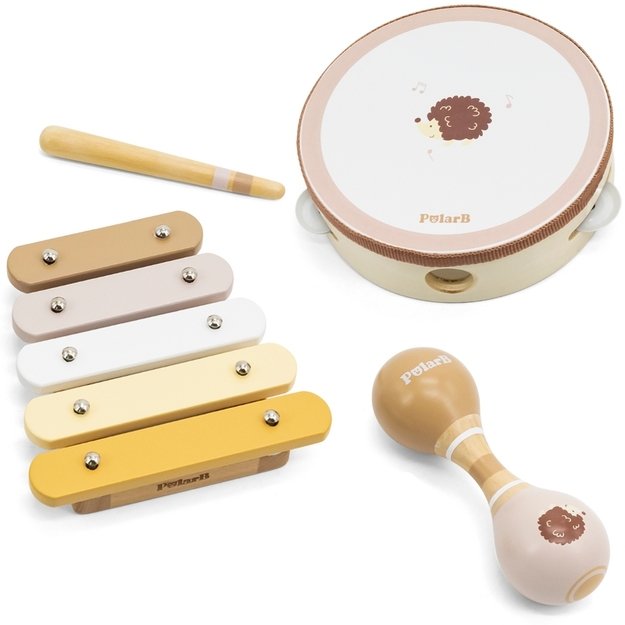 VIGA PolarB Muzikos instrumentų rinkinys su ežiuku