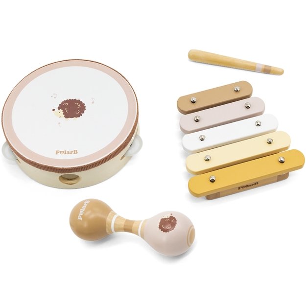 VIGA PolarB Muzikos instrumentų rinkinys su ežiuku