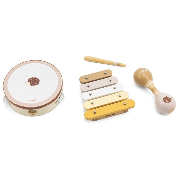 VIGA PolarB Muzikos instrumentų rinkinys su ežiuku